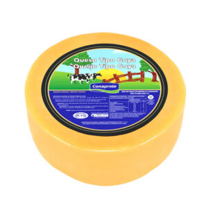 Queijo Tipo Parmesão Goya 300g